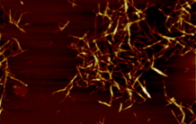 Nanofibrilles de cellulose : le bois vecteur de la chimie verte