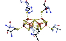 A successful fusion for a key intermediate en route to the nitrogenase active site
