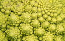 Where does the shape of the Romanesco cauliflower come from?