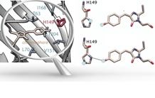 Zooming on the environment of the chromophore of a fluorescent protein by NMR spectroscopy
