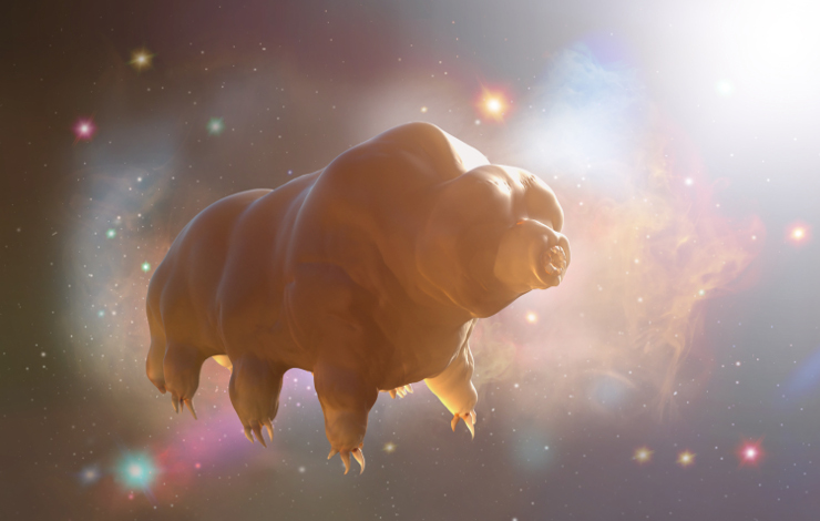 The incredible resistance of tardigrades to different environmental stresses, explained by a gel