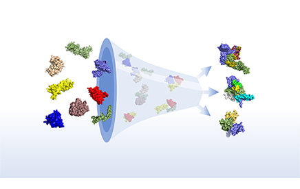 Alphafuser : AI to predict the structure of protein complexes