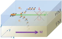 Spin Hall magnetoresistance in disordered magnetic insulator/metal heterostructures